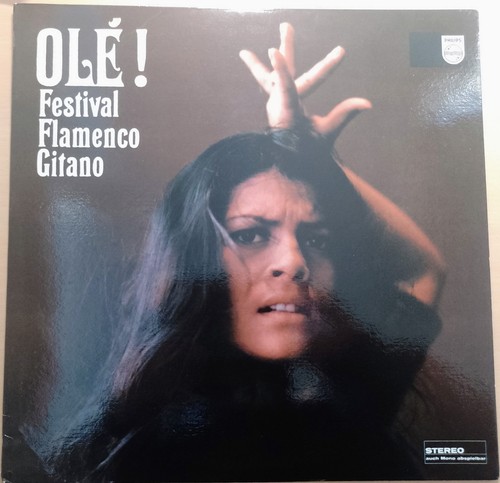 Festival flamenco gitano - flamenco, gitano-